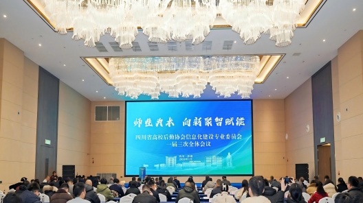 “师生为本， 向新聚智赋能” 四川省高校后...